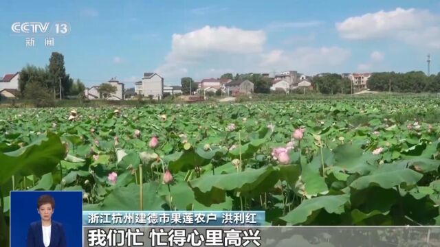 二龙山蚕种场最新动态报道