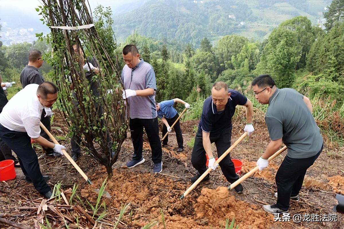 龙胜各族自治县体育局招聘信息与职业机会深度探讨