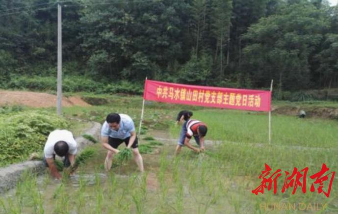 洲陂乡新项目，引领乡村发展的强大引擎