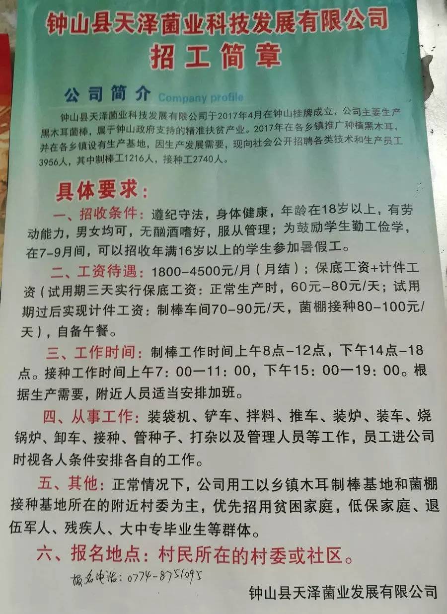 元竹镇最新招聘信息汇总