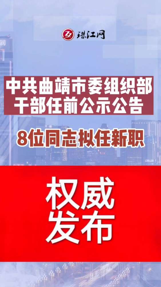 北碚区审计局最新招聘公告详解