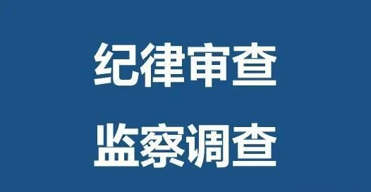 通川区数据和政务服务局最新招聘信息全面解读