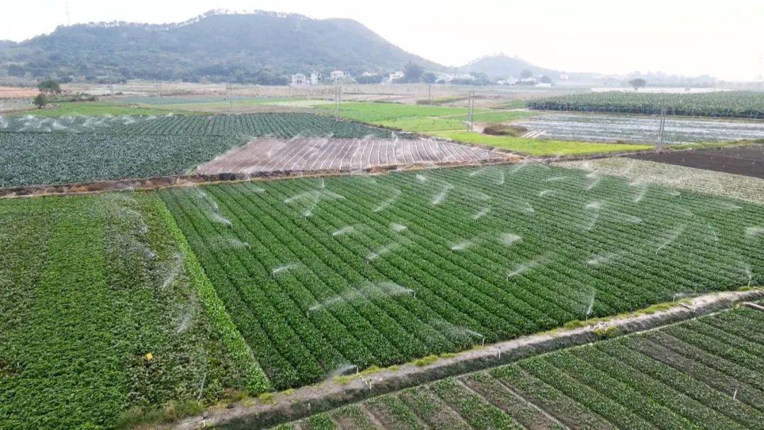 梁化镇最新项目，引领地区发展的崭新动力