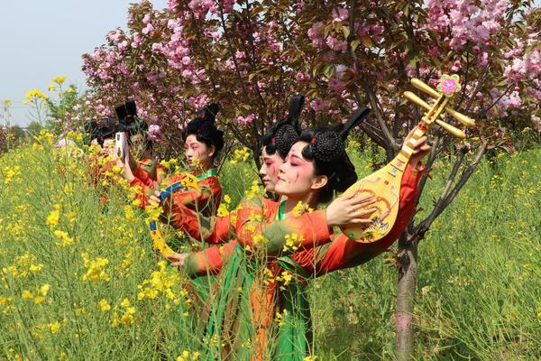 姚庄回族乡最新发展规划，繁荣与和谐共融的蓝图