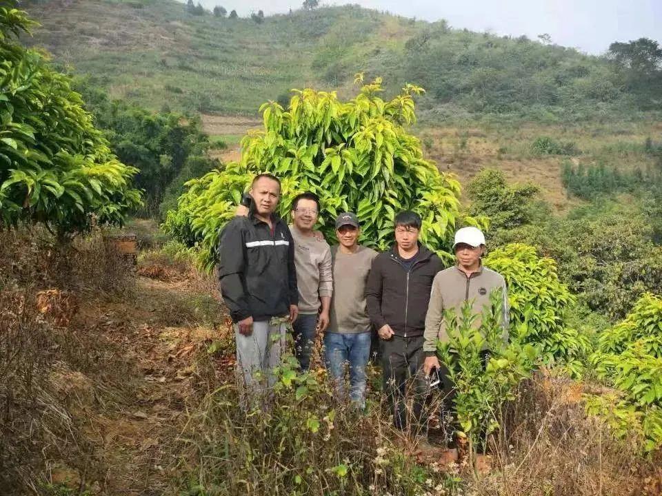 拉祜村迈向繁荣和谐未来的最新发展规划