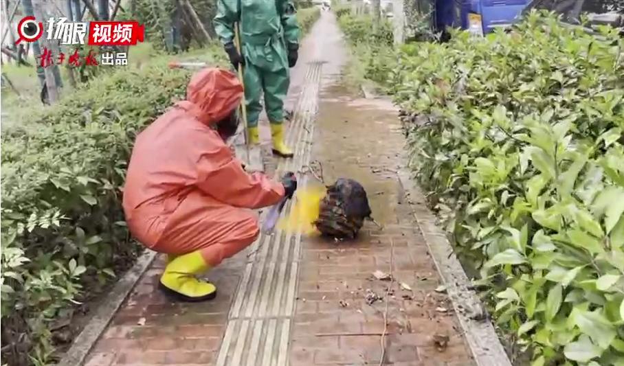 海州区体育馆最新动态报道