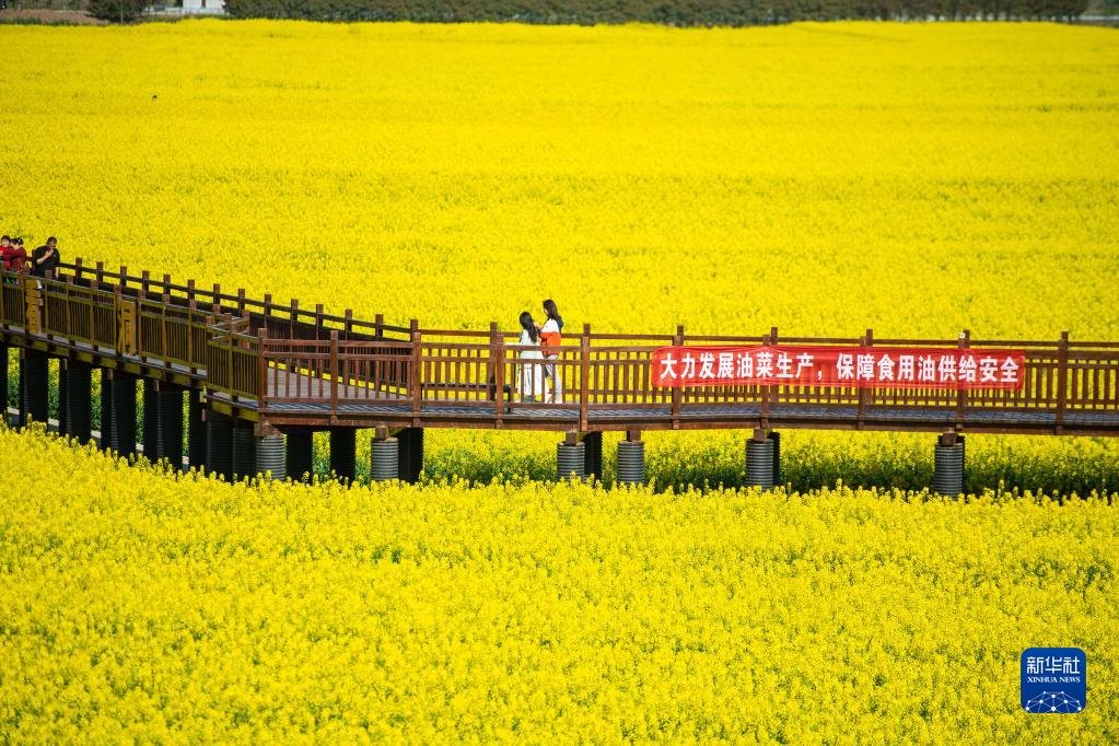 十美堂镇最新项目，引领地区发展的先锋力量