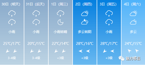 2024年12月18日 第24页