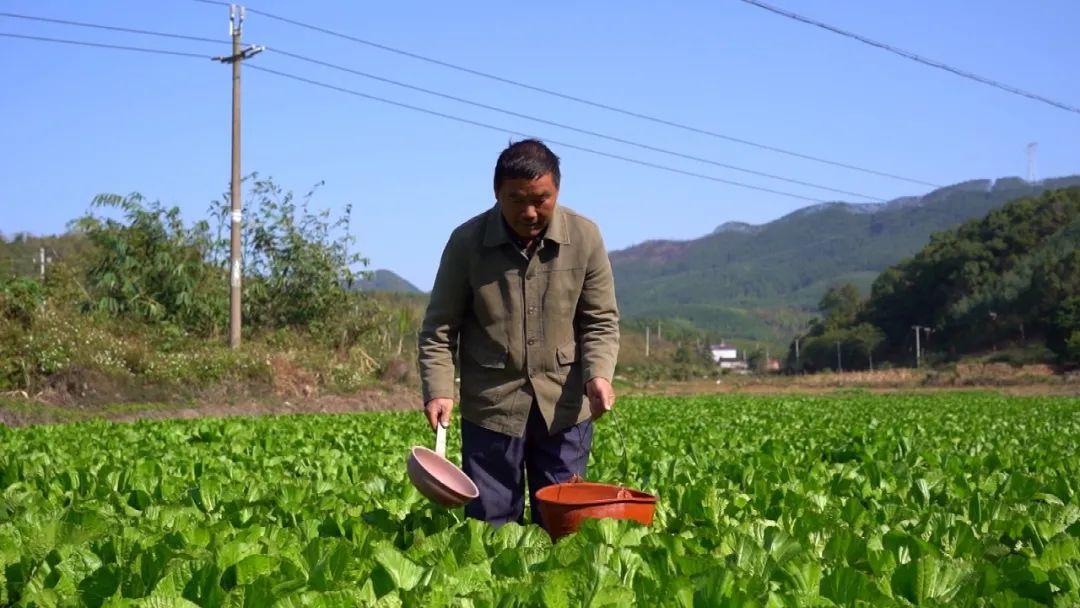 木龙村最新项目，乡村振兴的新引擎