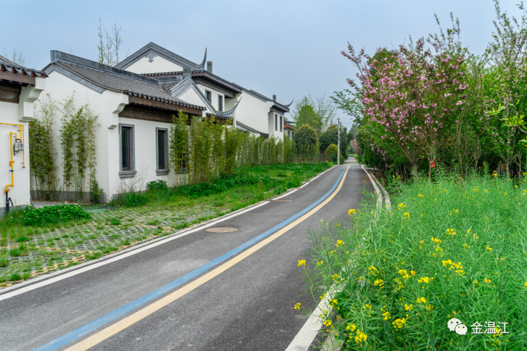 岷江村最新新闻报道